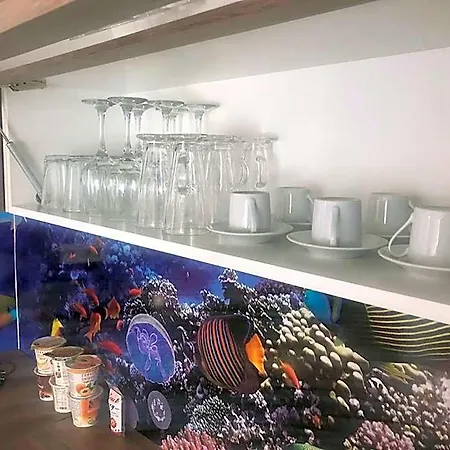Hotel Skodova 3*