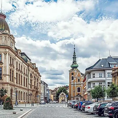 Отель Skodova
