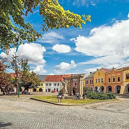 Hotel Skodova 3*